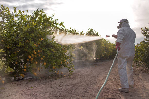 Best Residential Pest Control  in Louisa, VA